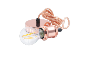 Ampoule LED 2,5W / 250LM compatible portail électrique culot E14 24V