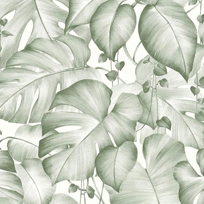 Rouleau de papier peint Jungle. feuille tropicale verte, fleurs de monstre  et feuilles de palmier. motif floral sans soudure. isolé sur fond blanc.  illustration 
