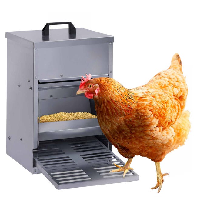 Mangeoire à pédale pour poules distributeur automatique 5 kg anti