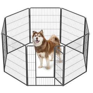 Grille de sécurité voiture pour chien GENERIQUE Filet De Protection, 3 × 2  M, Transparent - Mon Animalerie
