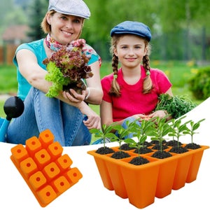 Box graines- greenabox - kit à planter