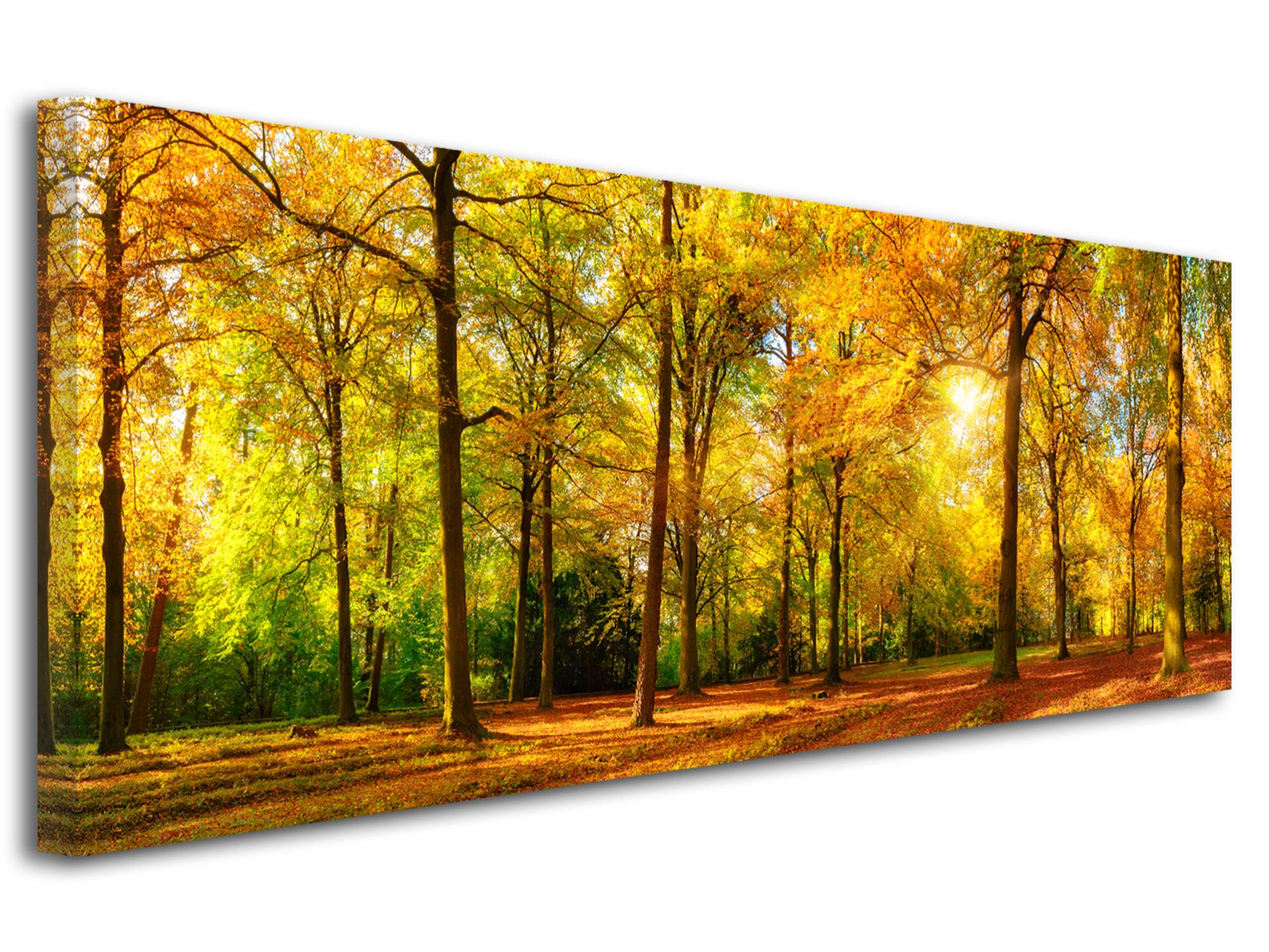 Lot De 4 Rideaux (2 Paires) Style Sud-Ouest - Motif "Gathering Sky" Couleurs Automne