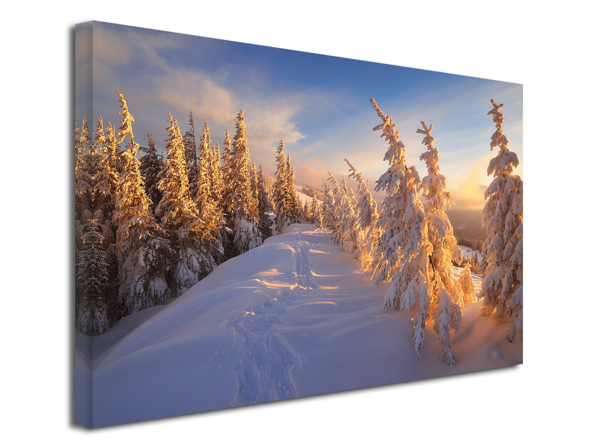 DECLINA Tableau toile imprimée paysage Tableau toile FORET ENNEIGE 100x60 cm Leroy Merlin