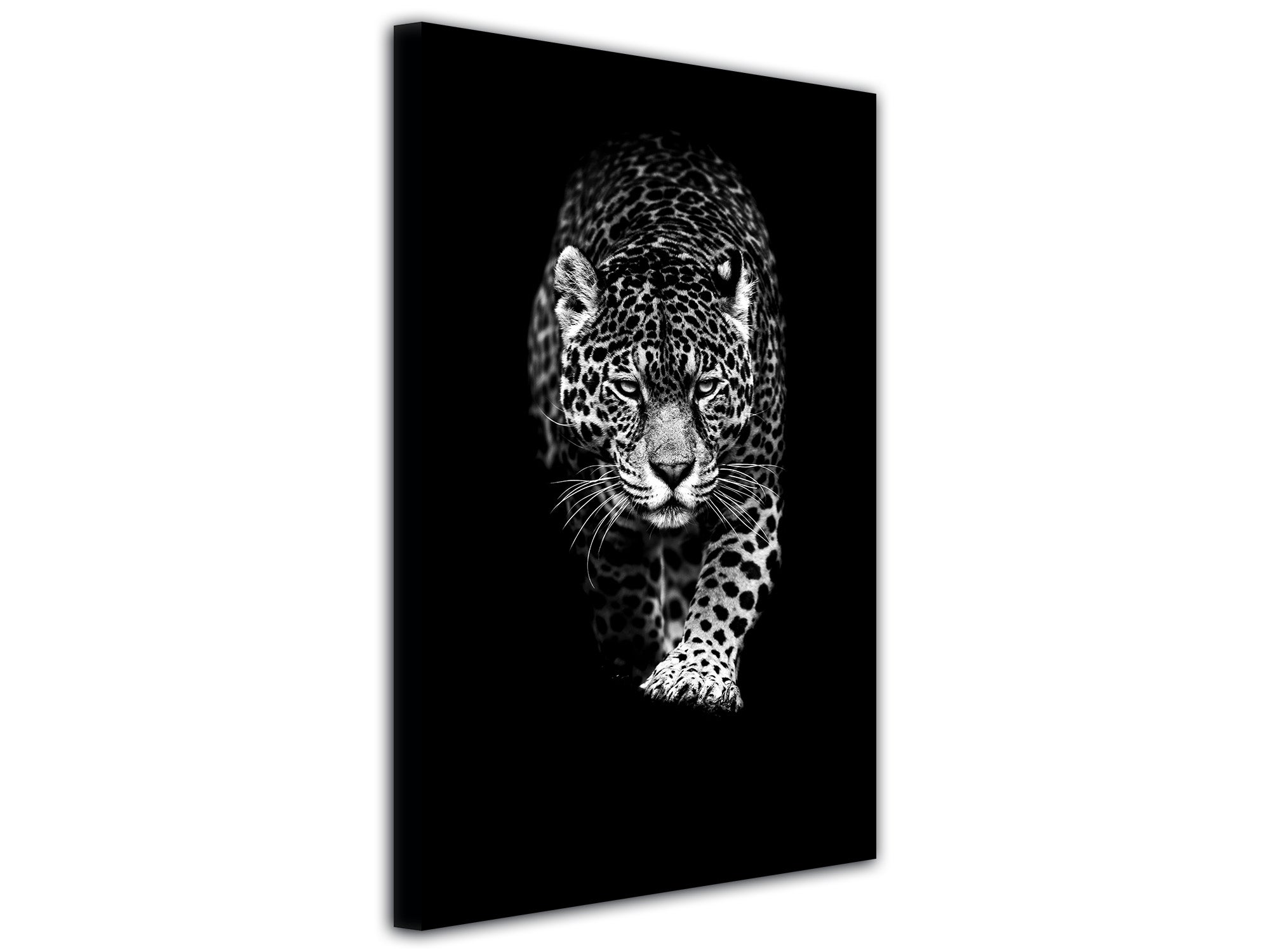 Tableau noir et blanc léopard sur toile imprimée - Prix bas Declina