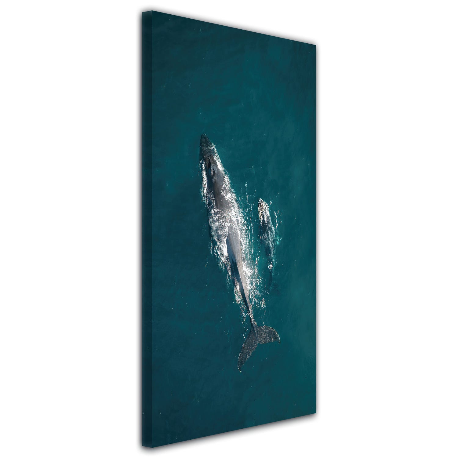 Tableau Baleine bleue  Décoration murale sur toile imprimée – Art