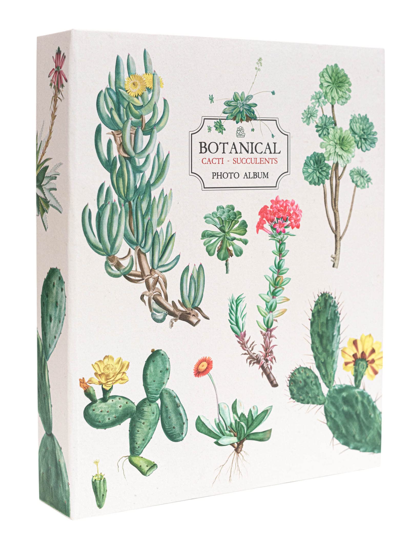 Kokonote: Album foto Botanical Cacti, Album fotografico 13 x 18 200 foto  con copertina rigida, Album fotografico 13 x 18 200 tasche, Album foto  13x20