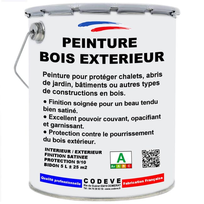Peinture Bois Exterieur 5 L Codeve Bois 6019 Vert Blanc Leroy peinture-bois-exterieur-5-l-codeve-bois-6019-vert-blanc-leroy