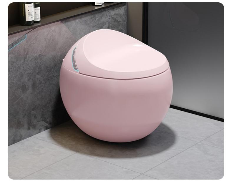 Toilette japonaise Hoshi Leroy Merlin