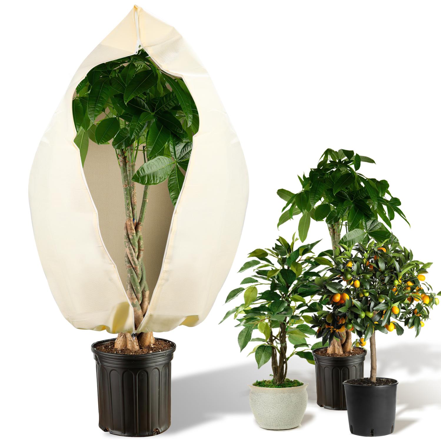Housse D'hivernage Pour Plantes 3 Pièces 120x180 Cm - Voile De Protection Avec Zip Et Cordon, Réutilisable