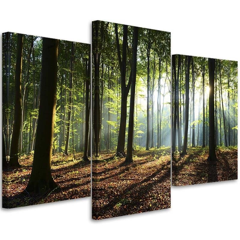 Stampa Su Tela Finestra Foresta Sole Moderna 100x75 cm XXL Quadri Moderni  Decorazione murale per soggiorno camera da letto cucina pronta da appendere