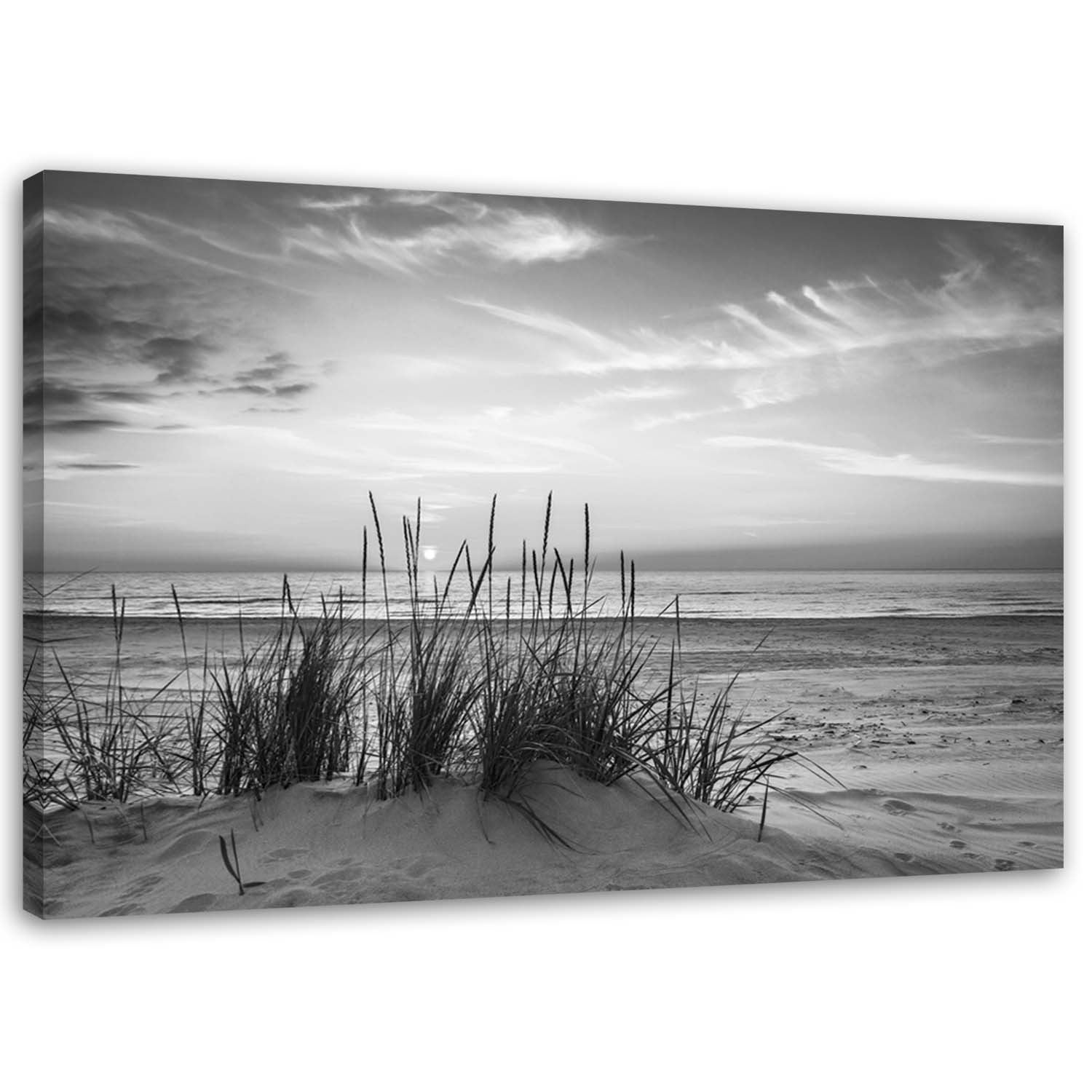 Quadro con cornice, Erbe sulla spiaggia - 60x40