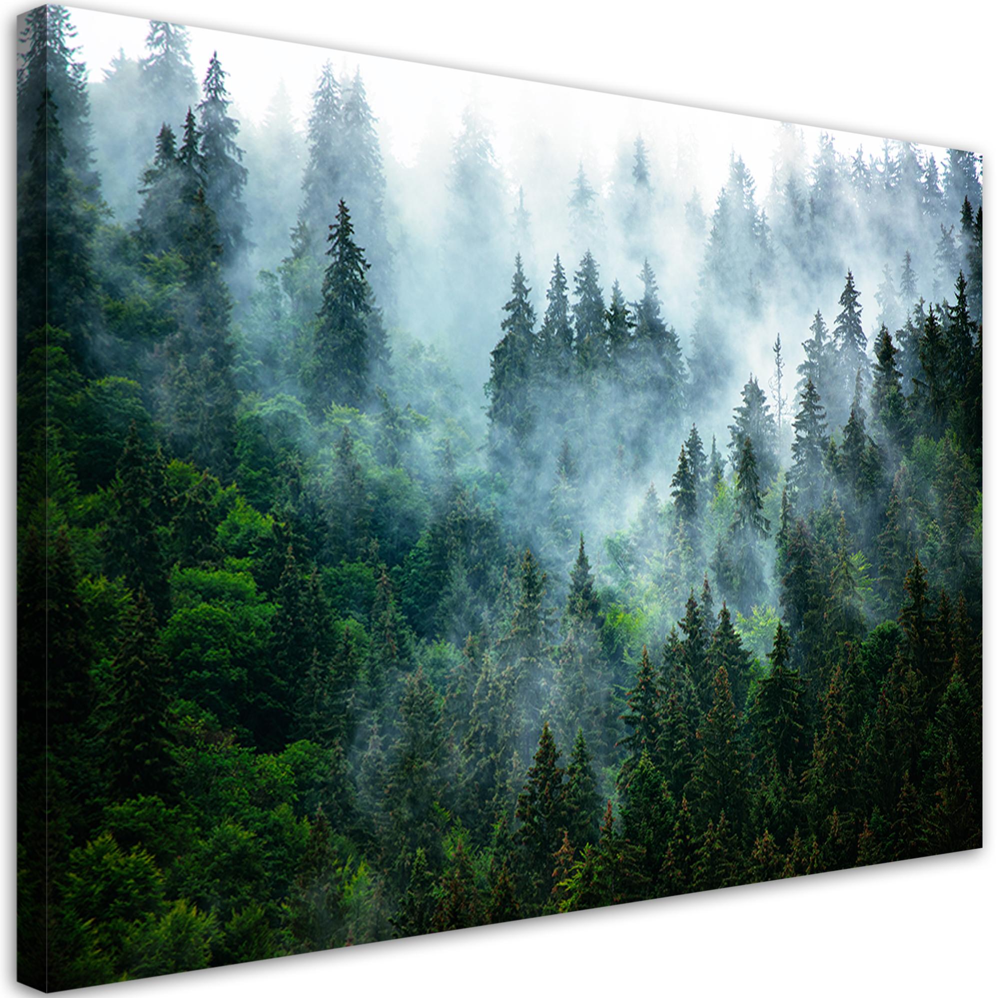 Quadro su tela, Lupo nella nebbia foresta natura