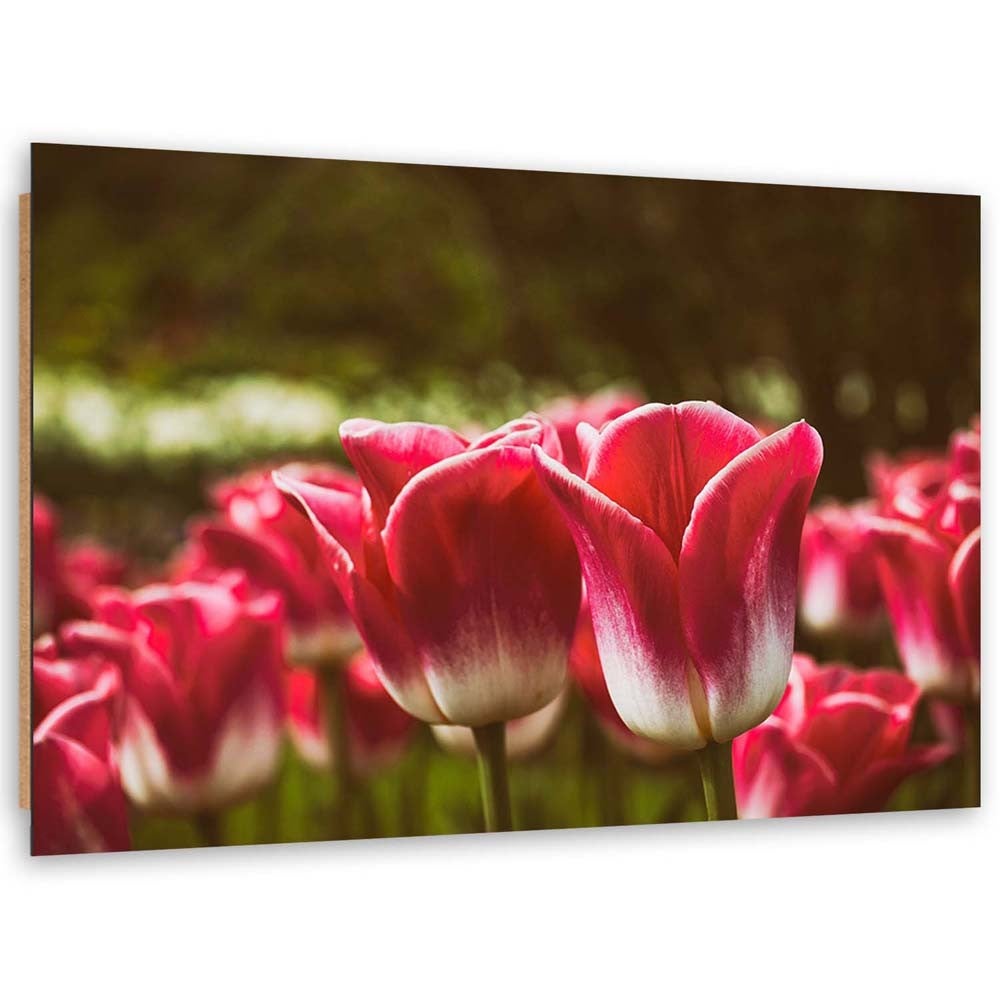 Quadro deco panel, Tulipani in fiore - 120x80