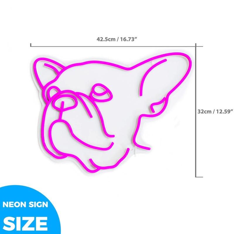 Drapeau Français' - Signe En Néon LED