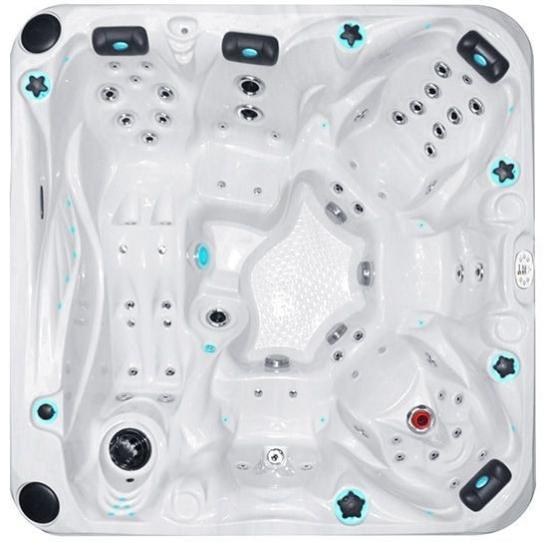 Spa 6 places modèle Admire Passion Spas Leroy Merlin