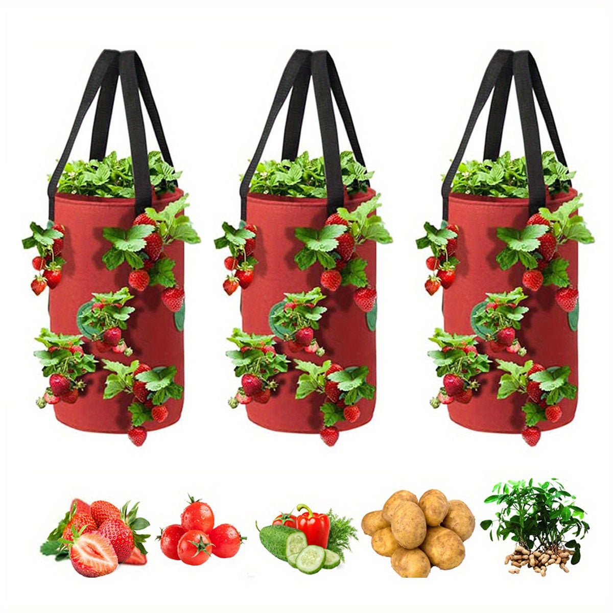 Paquets De Jardini Res L Envers Sac De Culture De Tomates Fraises Suspendu Au Jardin Sac