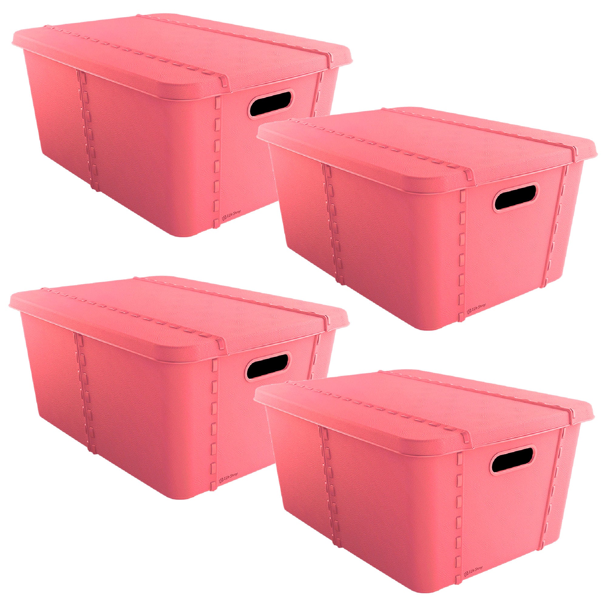 Pack 4 Life Story Caja Almacenaje Con Tapa Small 15l Rose con Ofertas en  Carrefour