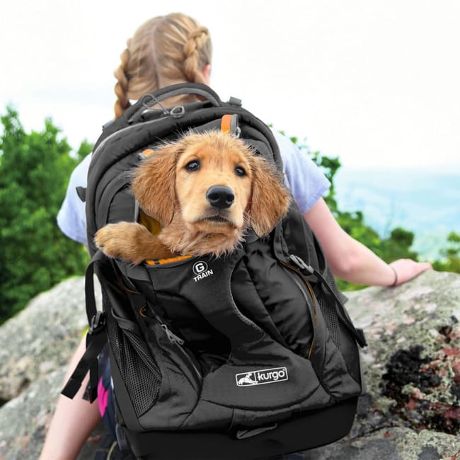 Mochila kurgo sale