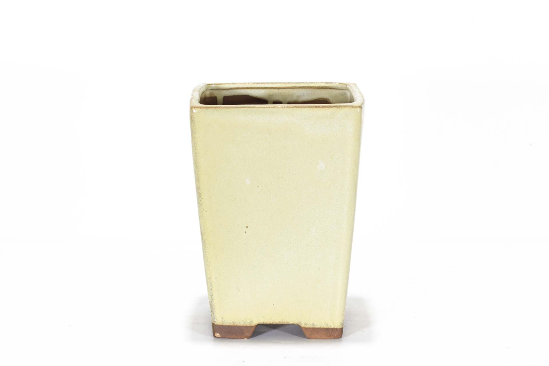 Vaso bonsai smaltato quadrato 14 cm Bronzo | Leroy Merlin Vaso bonsai smaltato quadrato 14 cm Bronzo | Leroy Merlin