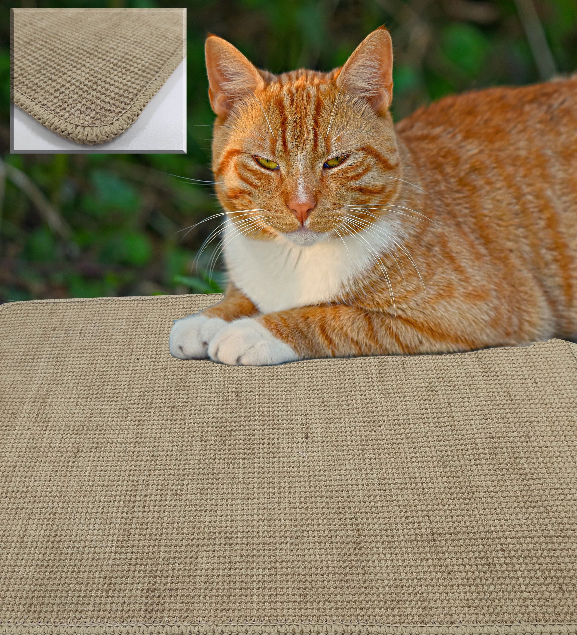 Alfombra Rascador Gatos Grandes y peque os de Yute natural para