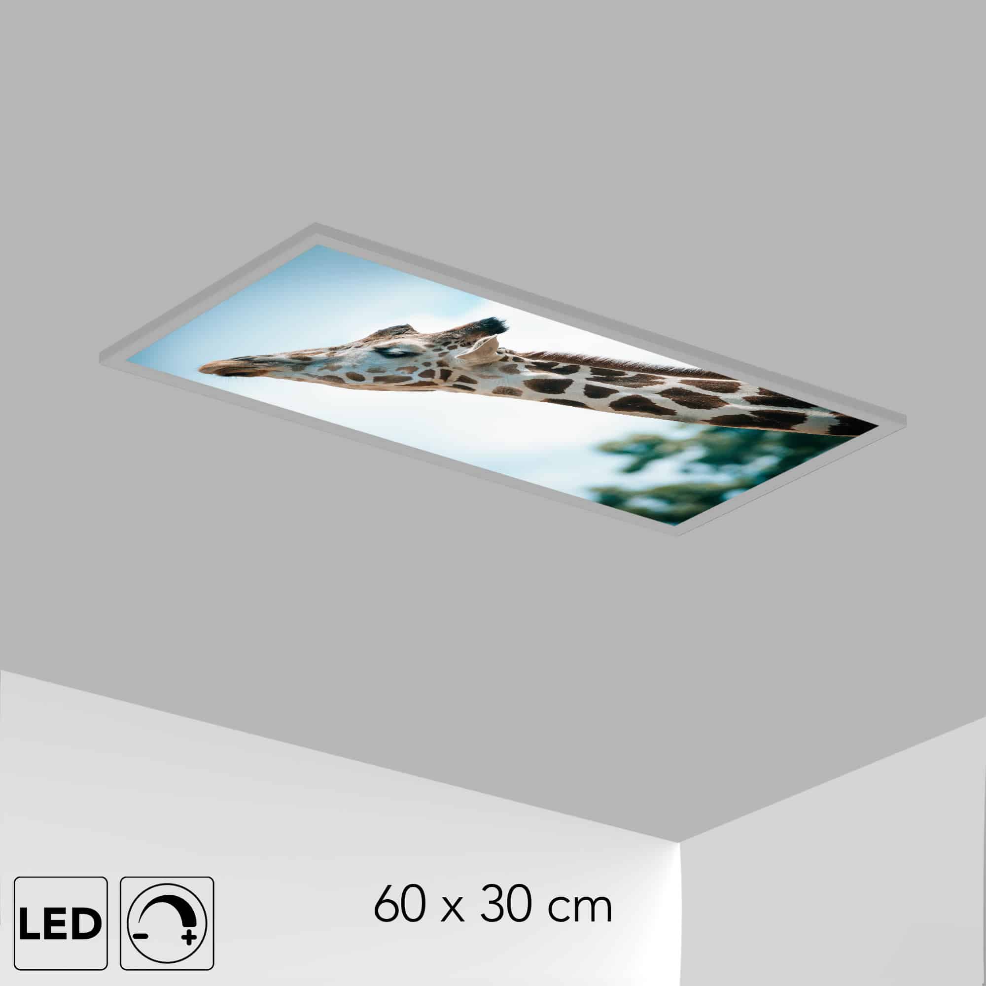 Plafonnier enfant Girafe - Panneau LED 25W chambre enfant - Dalle LED  imprimée - 60x30 cm - LUMENINSIDE - Fabriqué en France