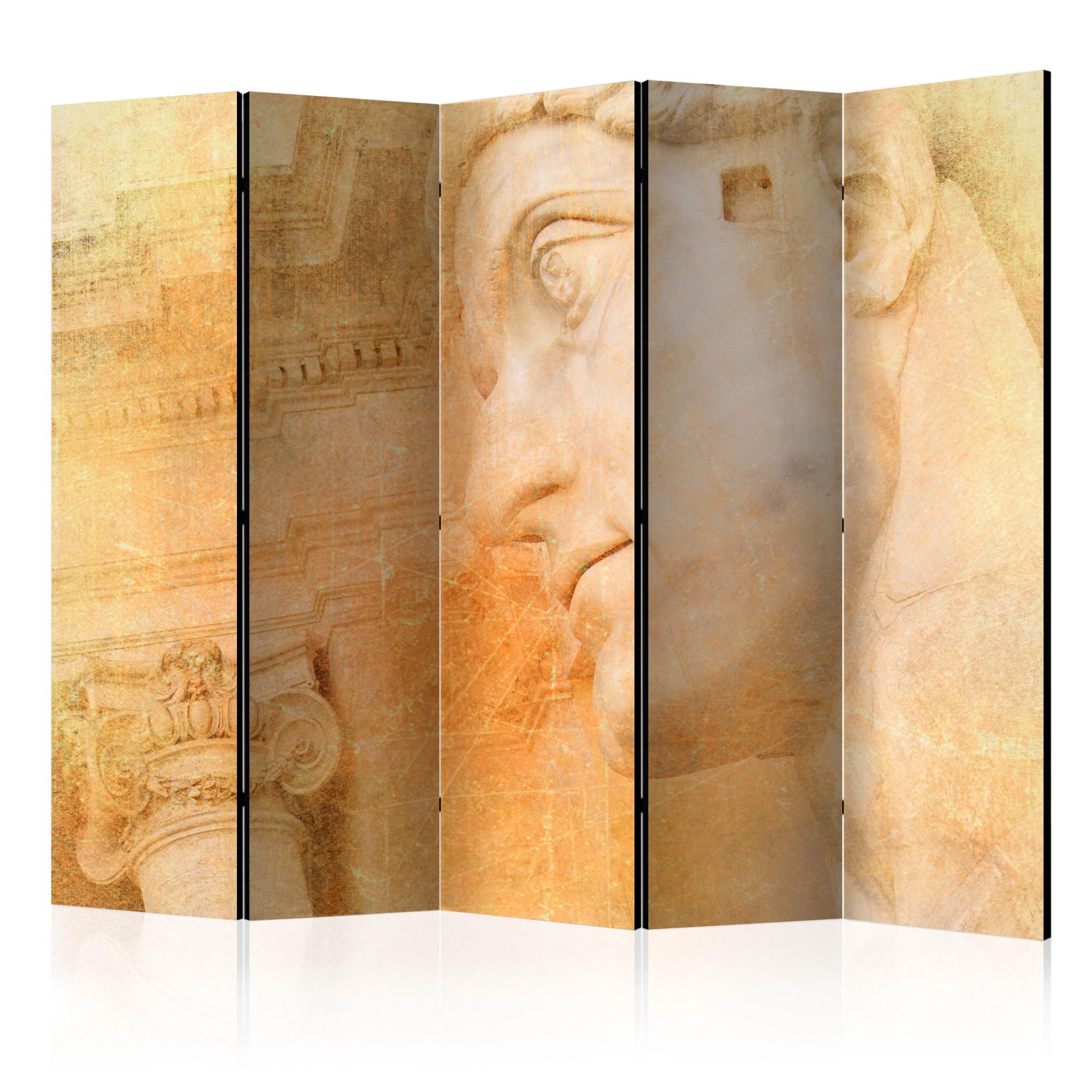 Paravent 5 volets - Greek God II [Room Dividers] - 225x172 | Leroy Merlin