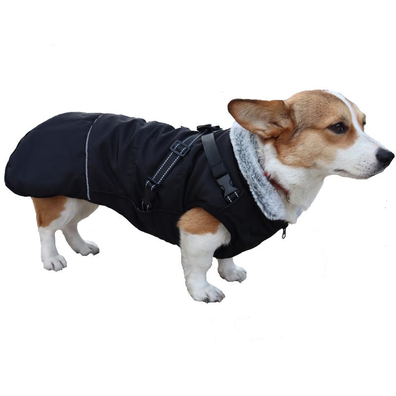 Manteau d'hiver pour chien - Chaud, confortable et pratique pour les petites  et moyennes races (Taille M), Noir