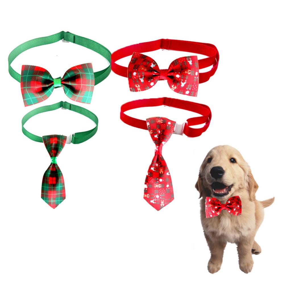 Vue de dessus sur les accessoires pour animaux de compagnie | Photo Vue de dessus sur les accessoires pour animaux de compagnie | Photo