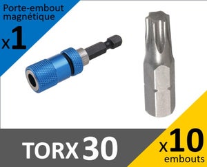 Embout torx 1/4 avec perçage TX 30, 9291130