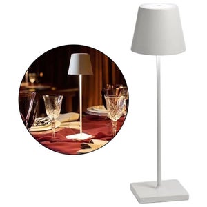 Lampe De Table Sans Fil Led Lily W26 Blanc Polyéthylène H26cm à Prix  Carrefour