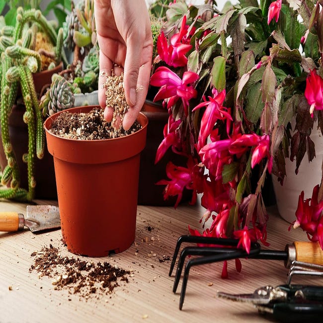 R&R SHOP – Perlite expansée Moyenne, PH Neutre idéal pour Le Jardinage, la  Germination, la Ventilation améliorant la Croissance des Plantes – 3L