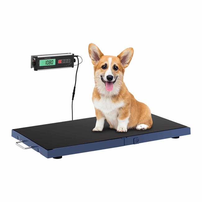Balance Vétérinaire Chien Balance Au Sol 180 kg / 50 g Écran LCD
