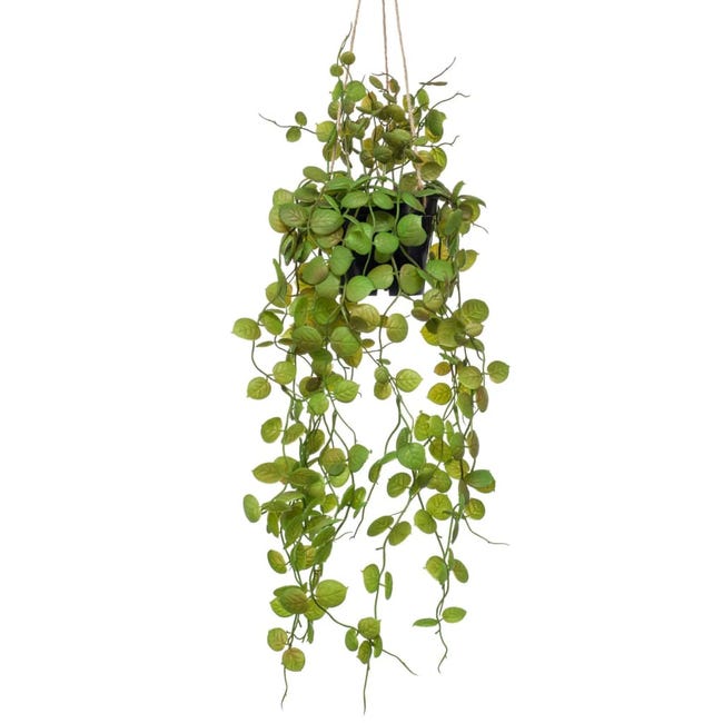 Plante artificielle suspendue Ceropegia 50 cm en pot Emerald | Leroy Merlin