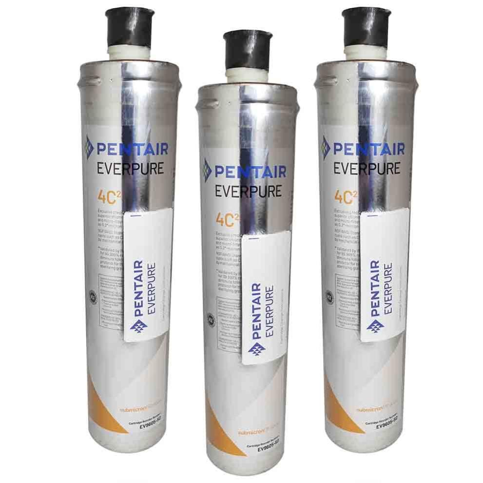 3 filtres antimicrobiens Everpure 4C2 0,5 micron - 1,9 l/min. | Leroy ...