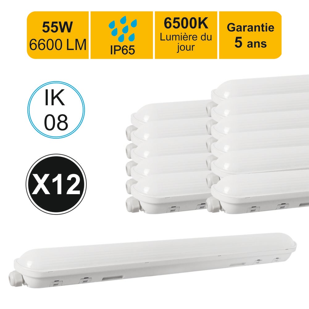 Réglette LED 60cm 24W - Blanc Froid 6000K - 8000K - SILAMP : :  Luminaires et Éclairage