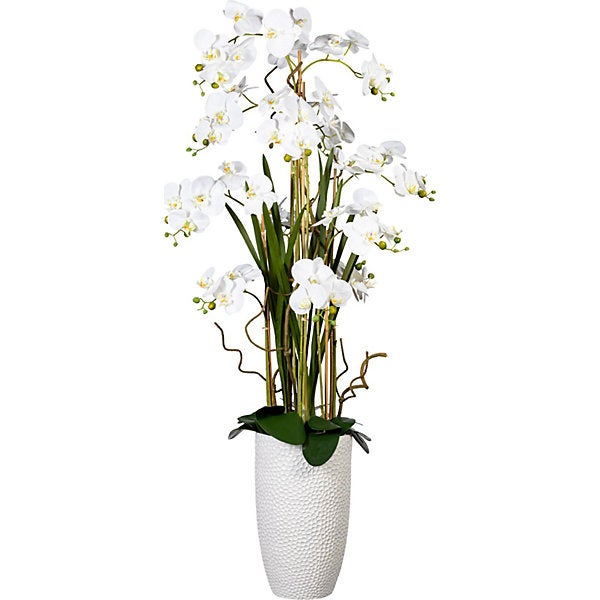 SK Vaso per orchidee Merina Pretty (Diametro: 14 cm, altezza: 15 cm,  ceramica, bianco)