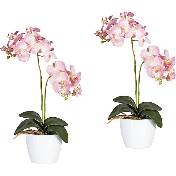 Kaiserkraft, Orchidea phalaenopsis in vaso di ceramica bianco, altezza  500 mm, conf da 2 pz, fiori rosa