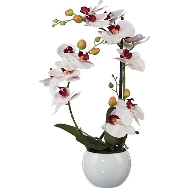 Doccia Scorrevole Larghezza Parete 150 Cm Altezza 200 Cm Profilo Argento Lucido Vetro Pulito 90969304