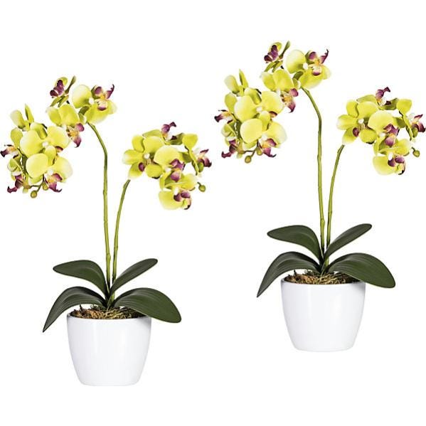 Vaso in ceramica argento 16x16x20h | Leroy Merlin Vaso in ceramica argento 16x16x20h | Leroy Merlin