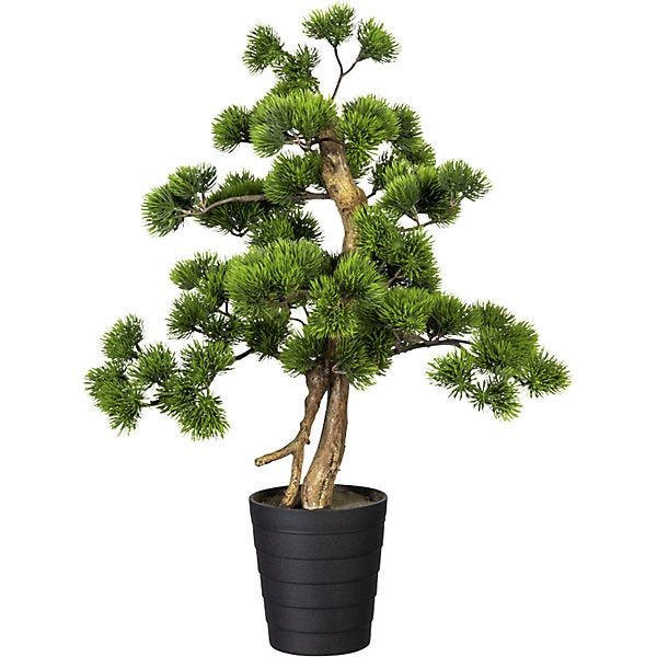 Bonsai di Pino Artificiale con Vaso 70 cm Verde