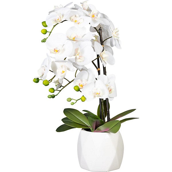 Orchidea Phalaenopsis Bianca 42cm Real Touch, in Vaso di Ceramica 10x6,5cm  - Arredo per la casa