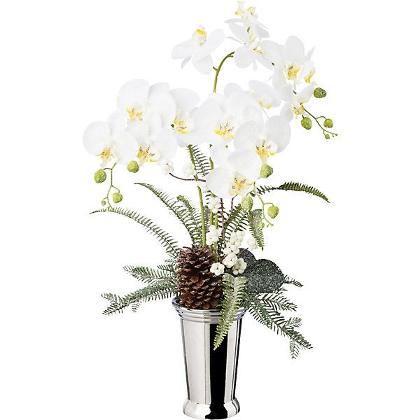 Kaiserkraft, Mazzo di orchidee phalaenopsis in vaso di ceramica, altezza  totale 700 mm, bianco