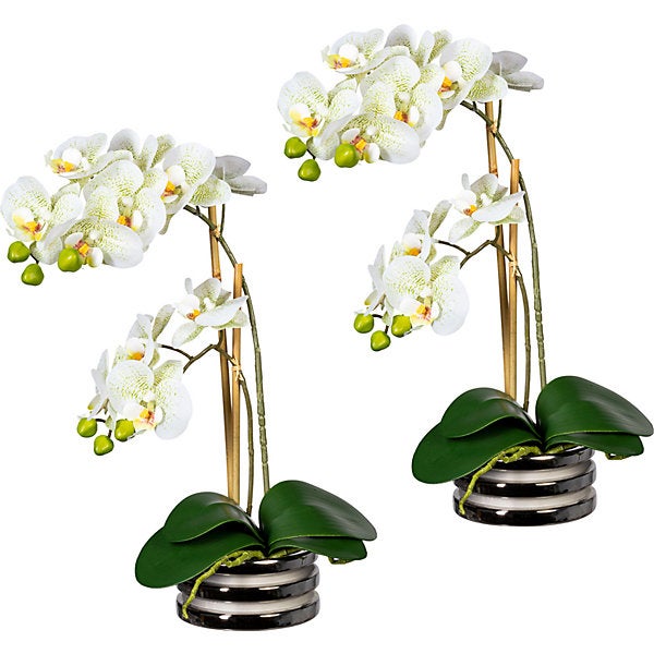 Kaiserkraft, Orchidea phalaenopsis, real touch, in ciotola di ceramica, conf da 2 pz, verde chiaro