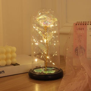Guirlande lumineuse décoration cadeau verre fleur dôme fleurs