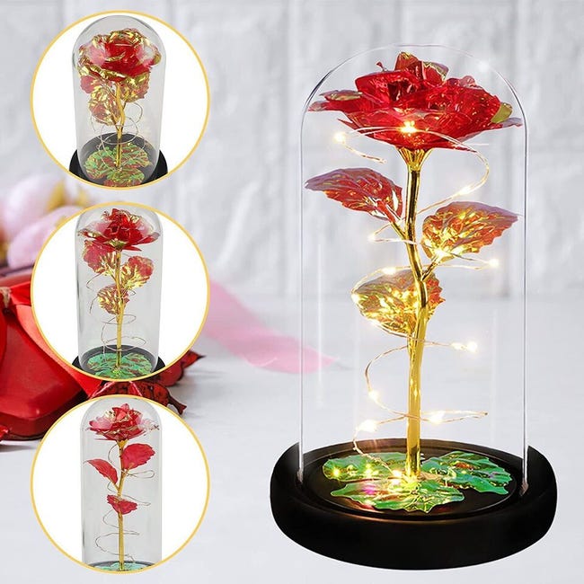 Guirlande lumineuse décoration cadeau verre fleur dôme fleurs artificielles  Led lampe fleurs séchées à la ceinture - Cdiscount Maison