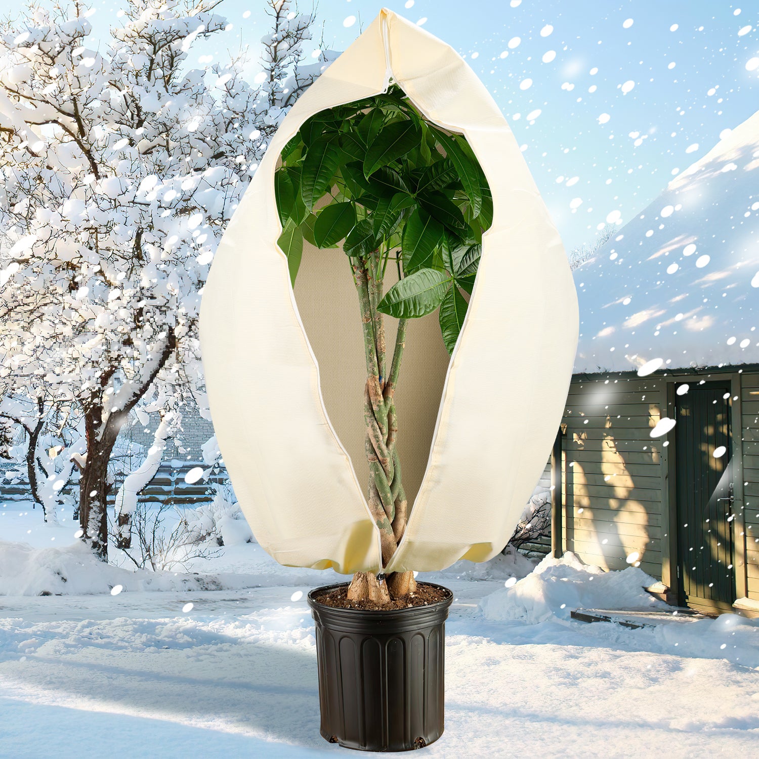 Housse D'hivernage, 100g/m², Plusieurs tailles, Voile d'hivernage pour  Plantes, Ajustable, Robuste de protection, 80×100cm