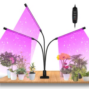 Lampe pour plante LED - Lampe horticole - Vert d'eau / Moutarde / Blanc