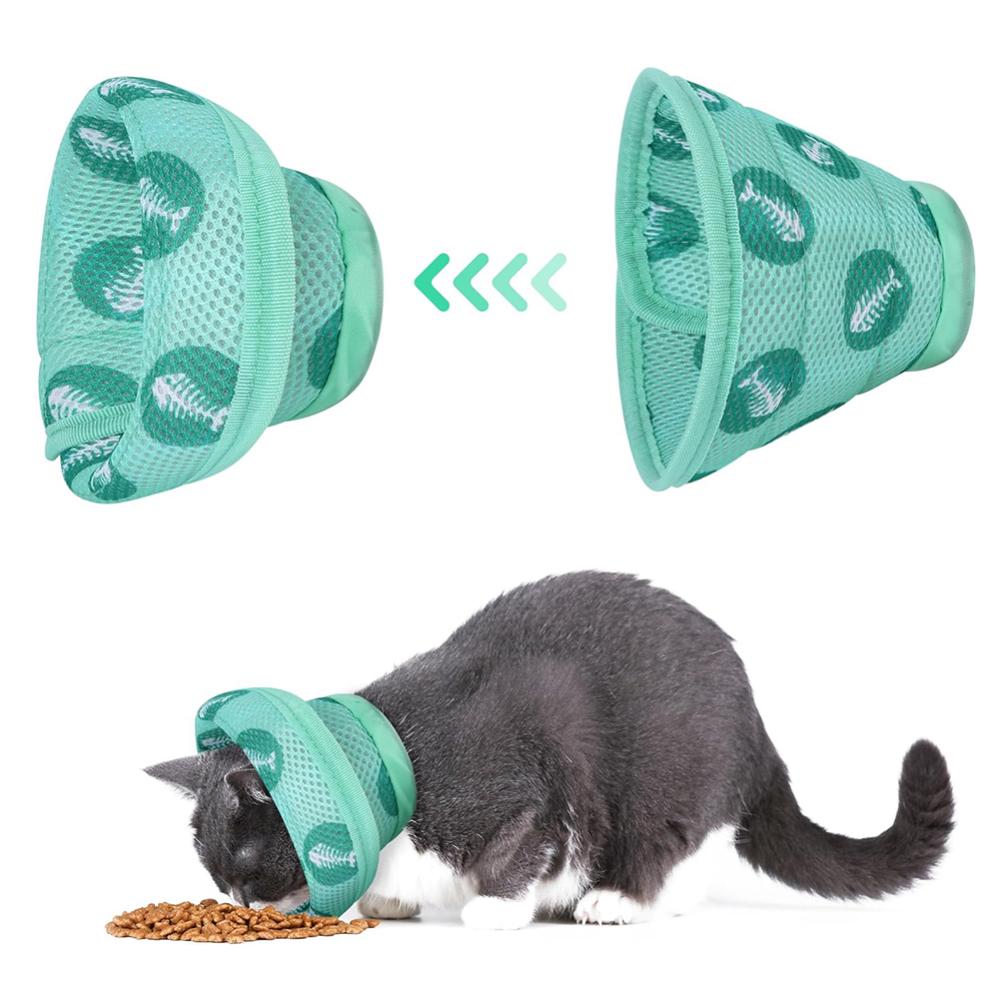 Life360 Life360 Autocollant Pour Collier De Chat Pour Chat U2013 Le Plus Petit, Le Plus Lu00e9ger Et Le Plus Confortable U2013 Suivez Votre Animal De Compagnie Avec Un Appareil IPhone Samsung Android