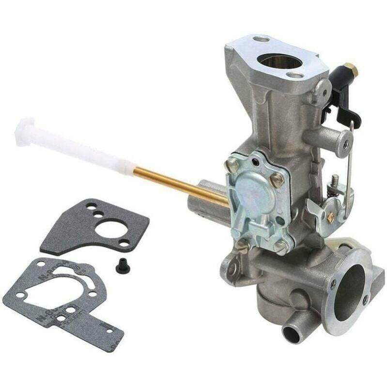 Carburateur Briggs & Stratton 133212 134202 Leroy Merlin