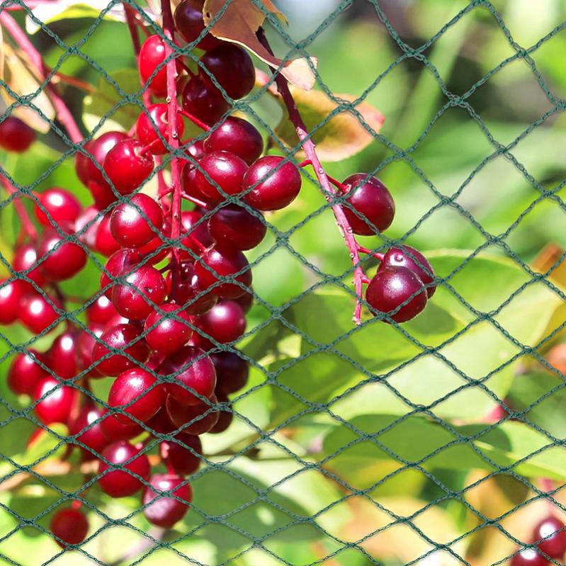 Rete Protettiva Per Stagno 3x4.2m - Protezione Da Aironi E Foglie - Con Picchetti - Maglie 2x2cm - Foto 9